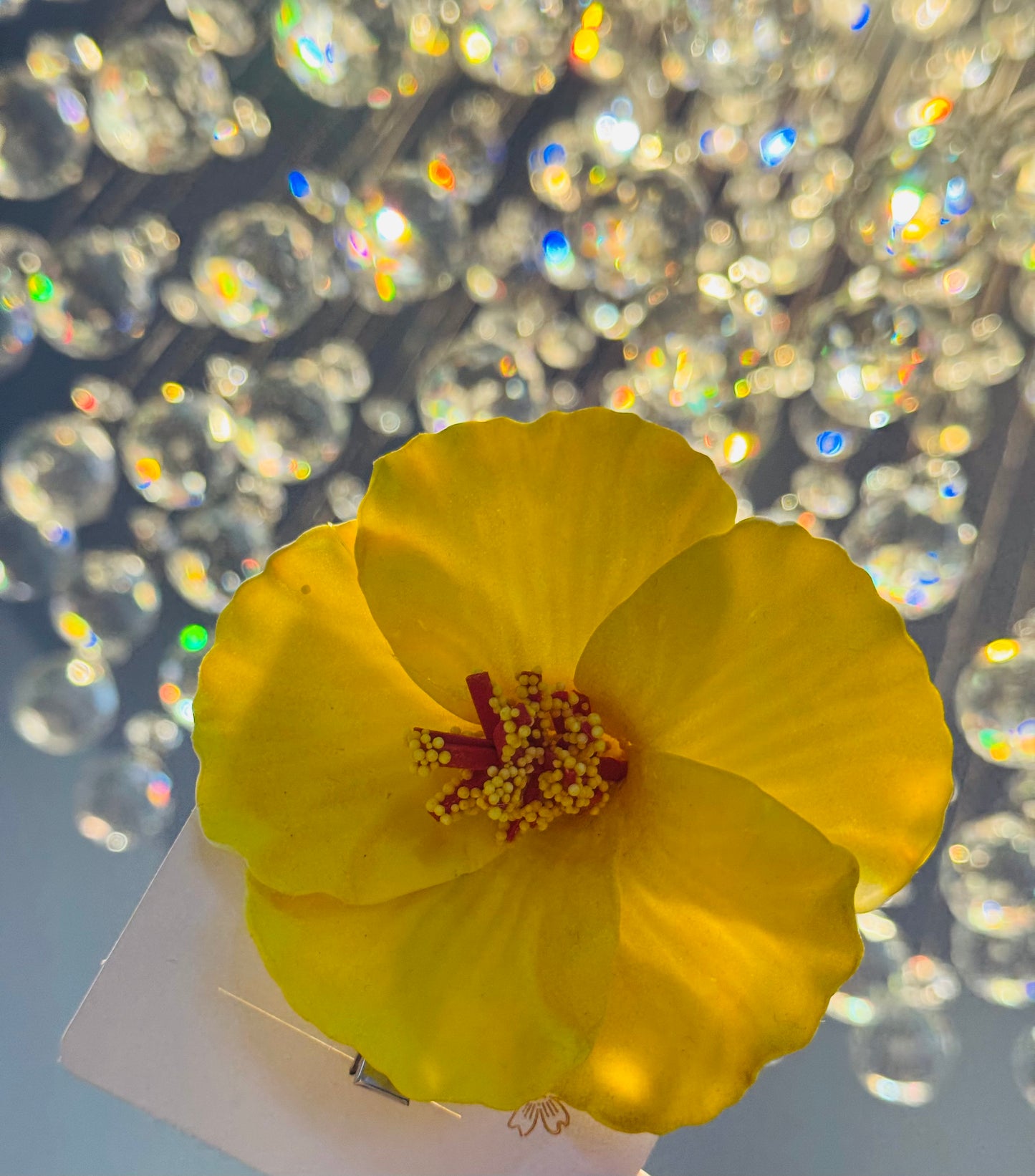YELLOW FLOWER