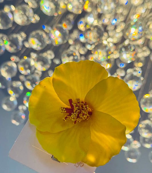 YELLOW FLOWER