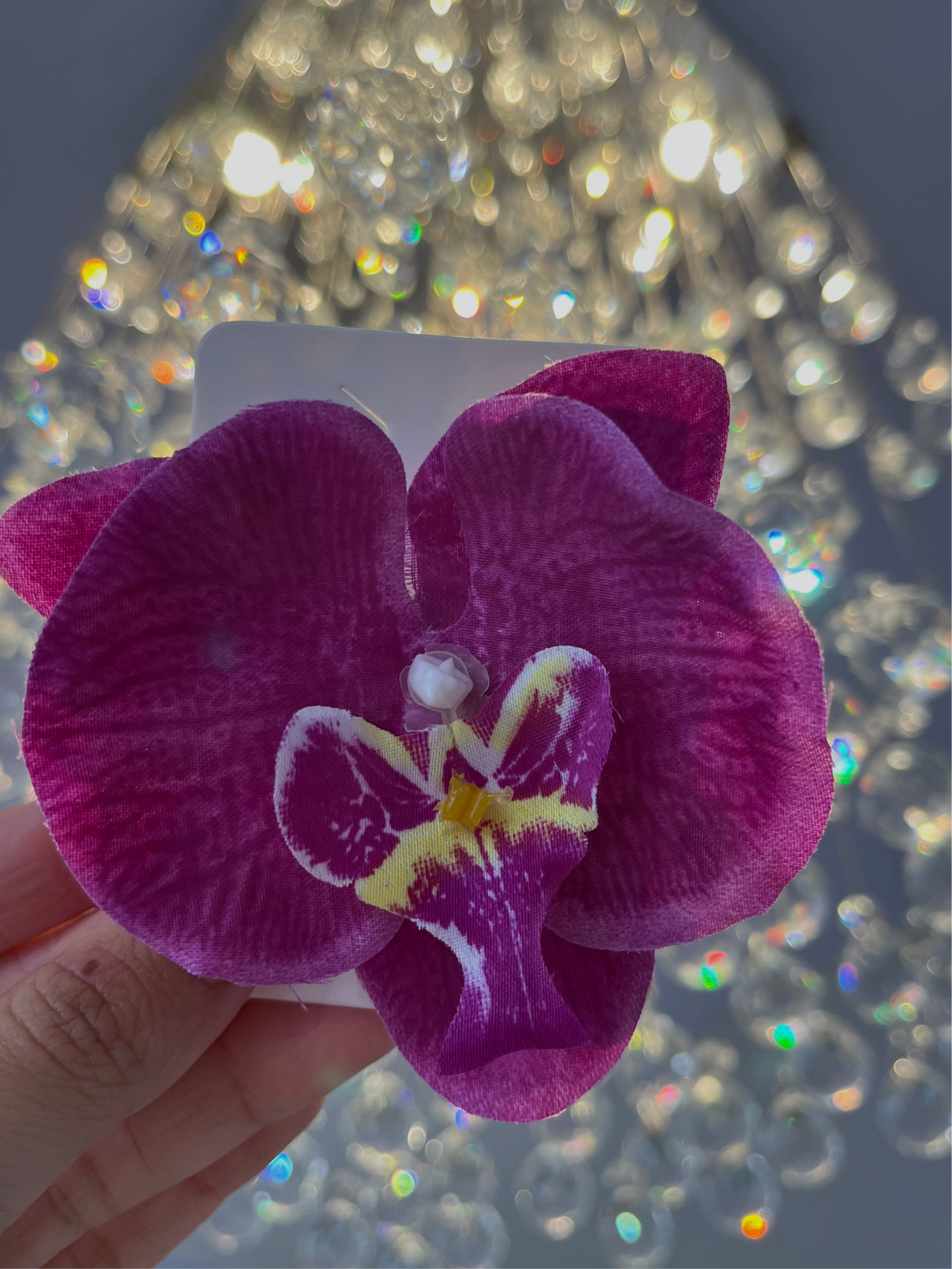 Orquídeas vacation