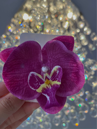 Orquídeas vacation