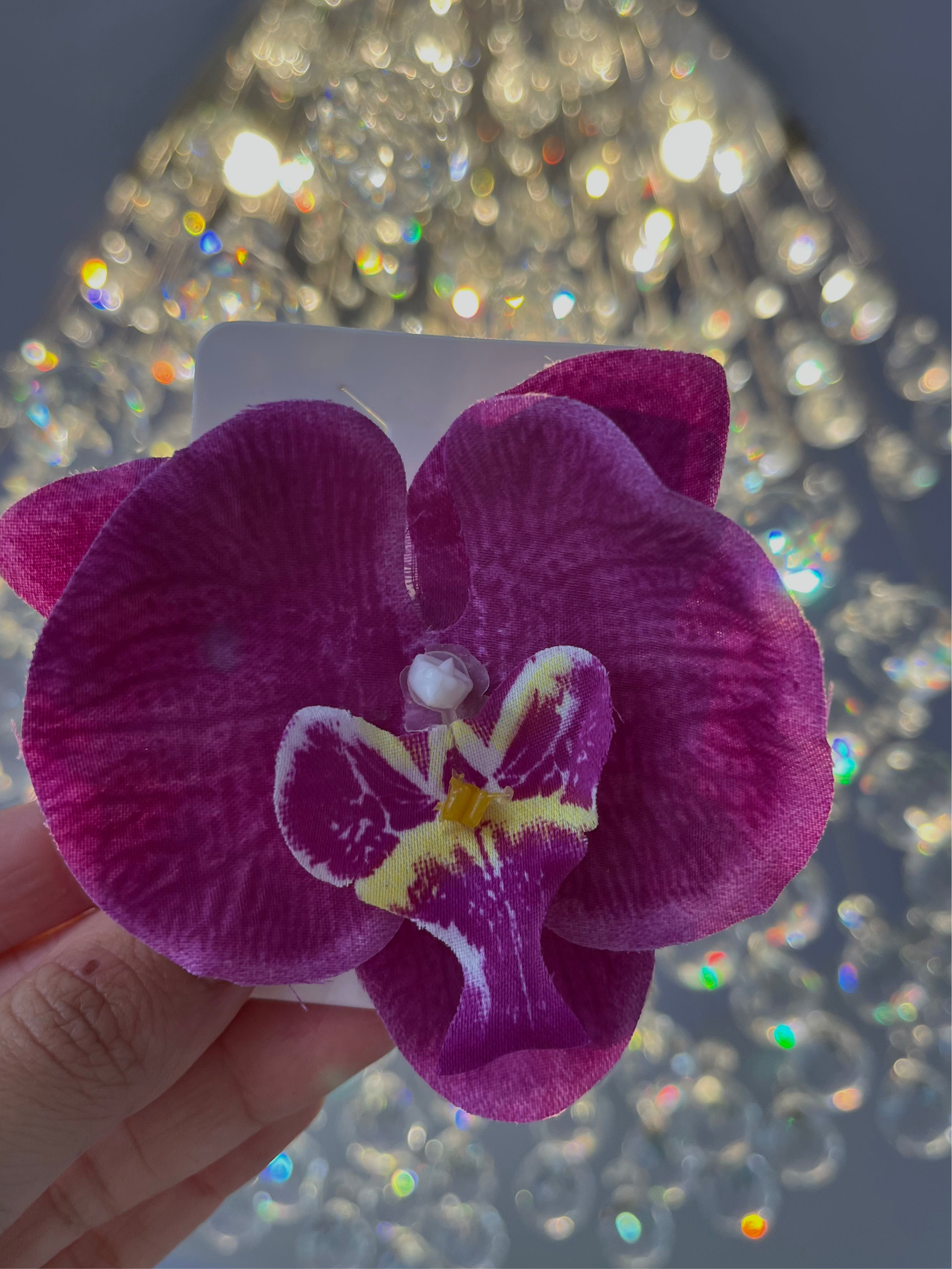 Orquídeas vacation
