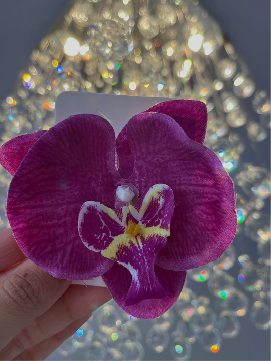 Orquídeas vacation