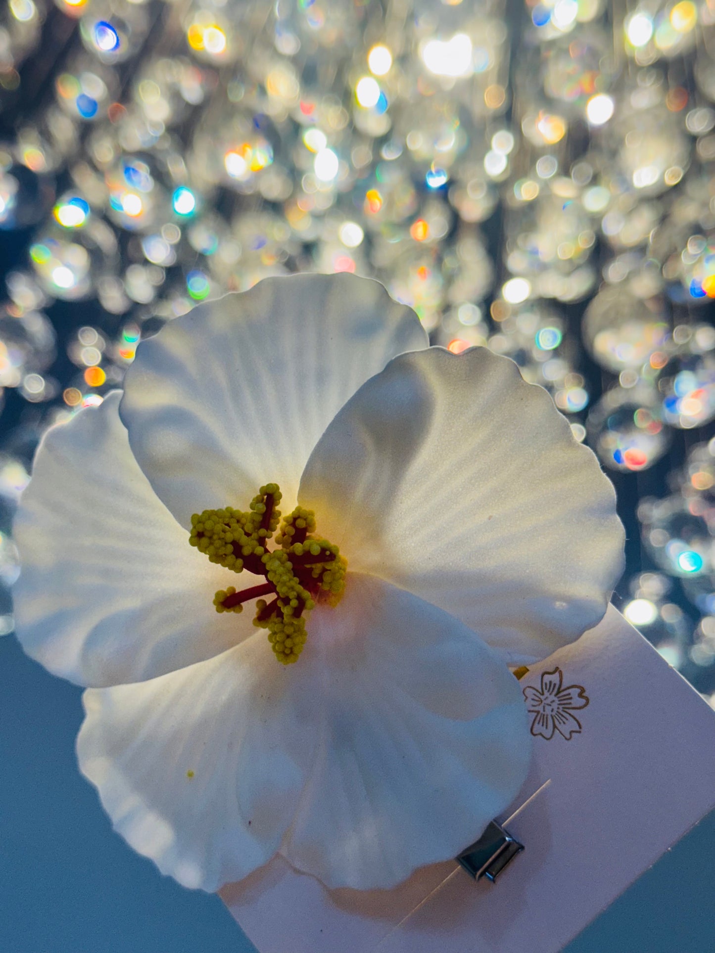 WHITE FLOWER
