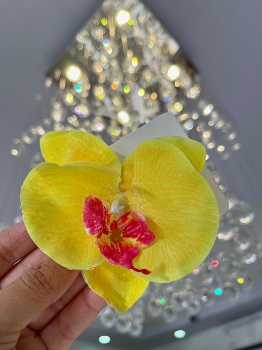 Orquídea vacation (Yellow)