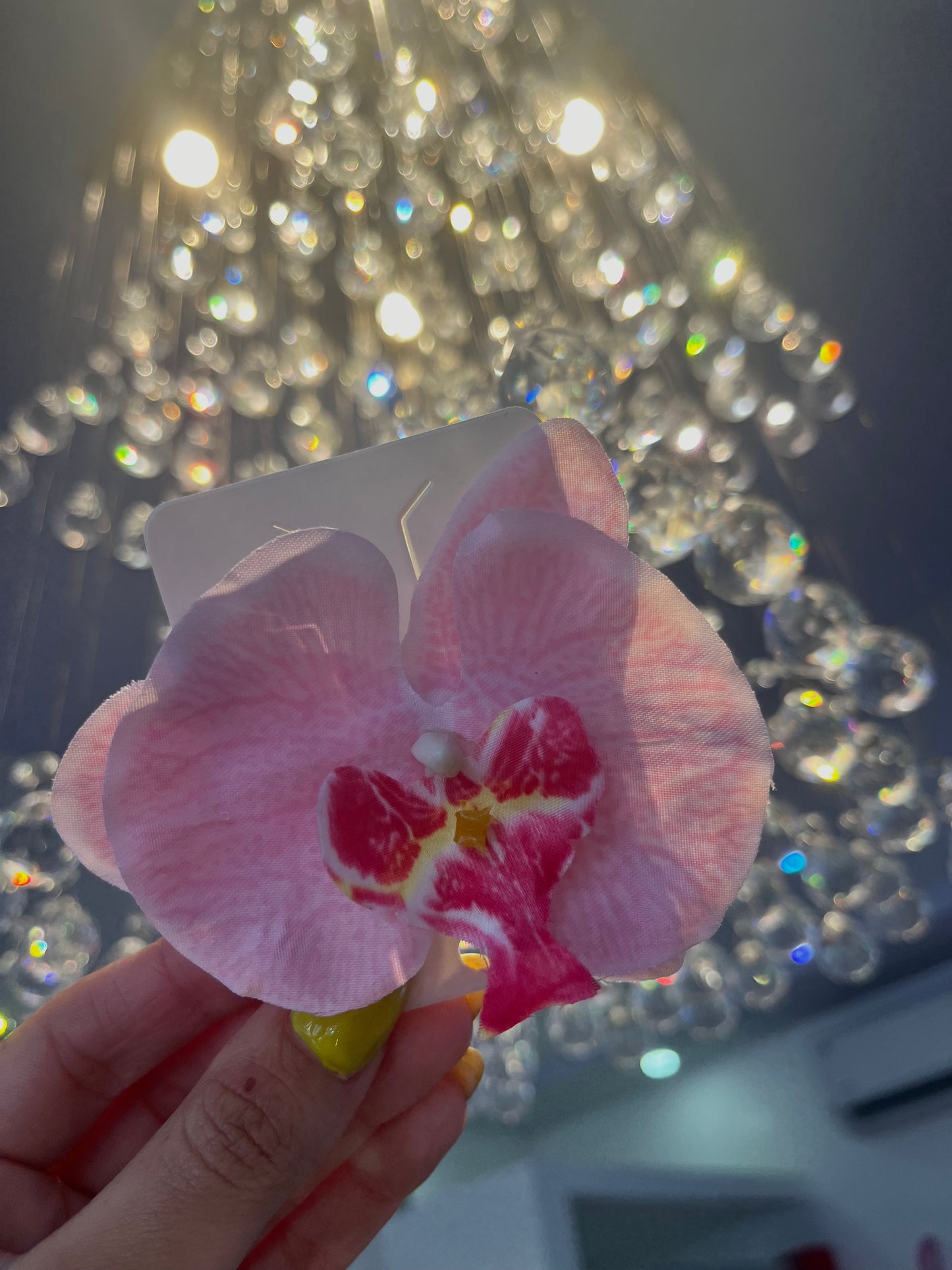 Orquídea vacation ( light PINK)
