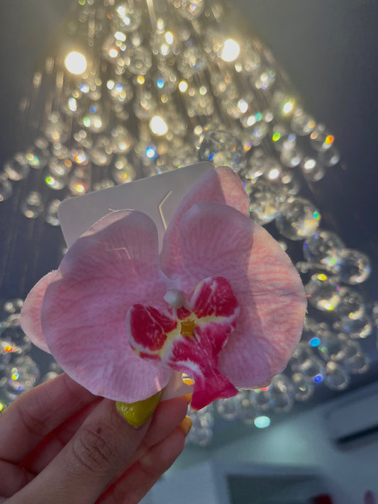 Orquídea vacation ( light PINK)